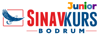 bodrumsinav-junior-logo bodrumsinav-junior-logo