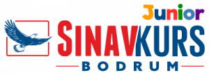 bodrumsinav-junior-logo